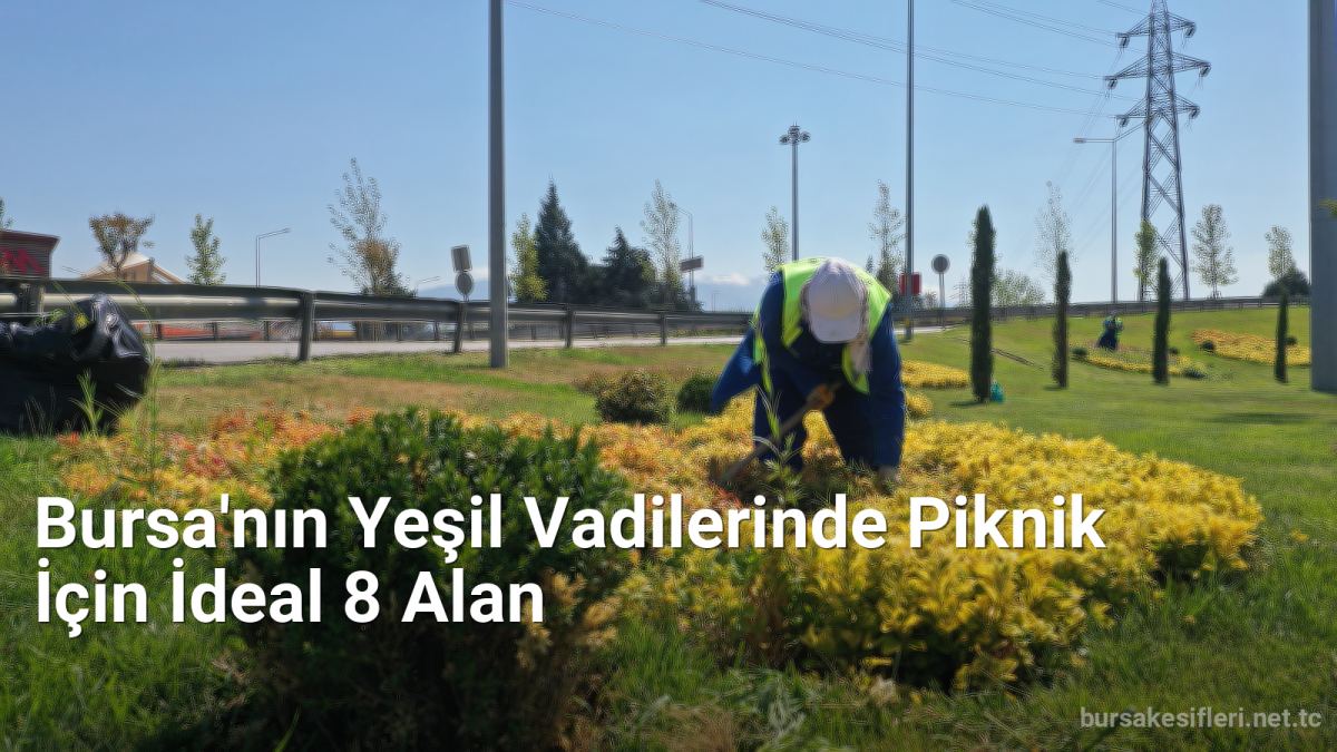 Bursa'nın Yeşil Vadilerinde Piknik İçin İdeal 8 Alan - bursakesifleri.net.tc