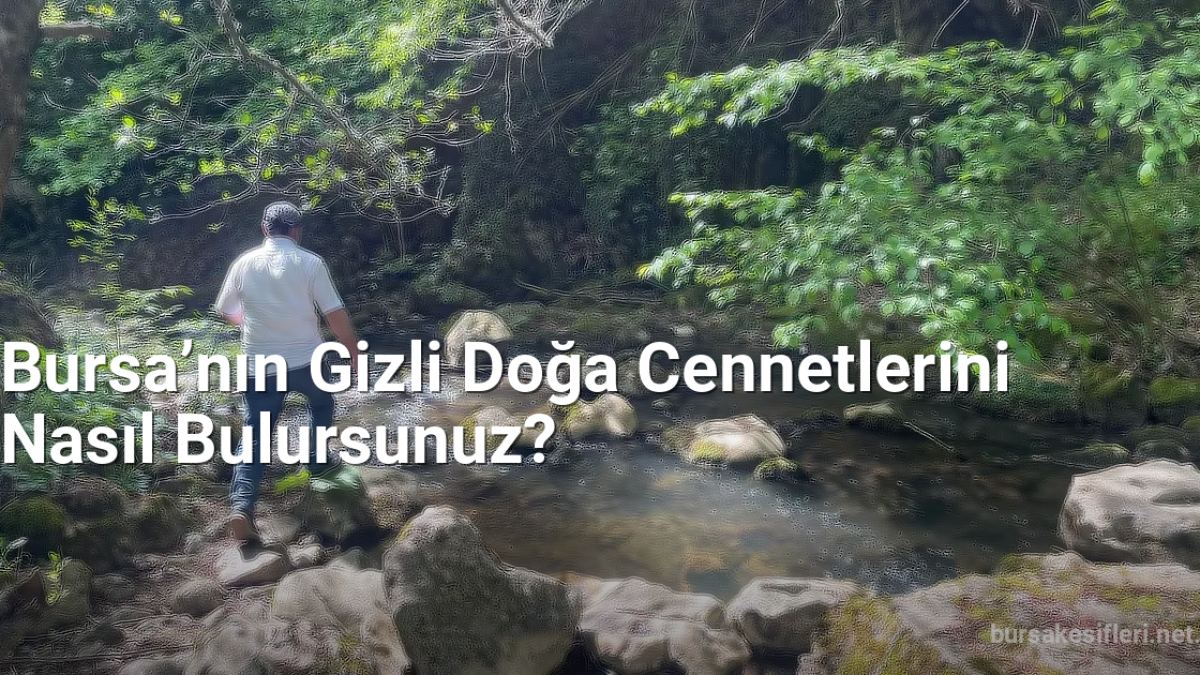 Bursa’nın Gizli Doğa Cennetlerini Nasıl Bulursunuz? - bursakesifleri.net.tc