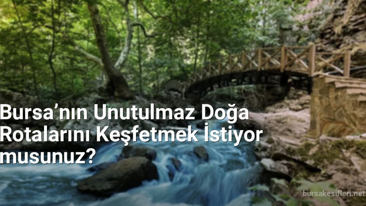 Bursa’nın Unutulmaz Doğa Rotalarını Keşfetmek İstiyor musunuz? - bursakesifleri.net.tc